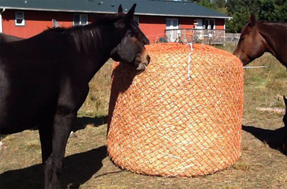 Round Bale Nets Orange Slow Feeder