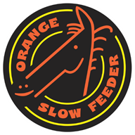 Orange Slow Feeder