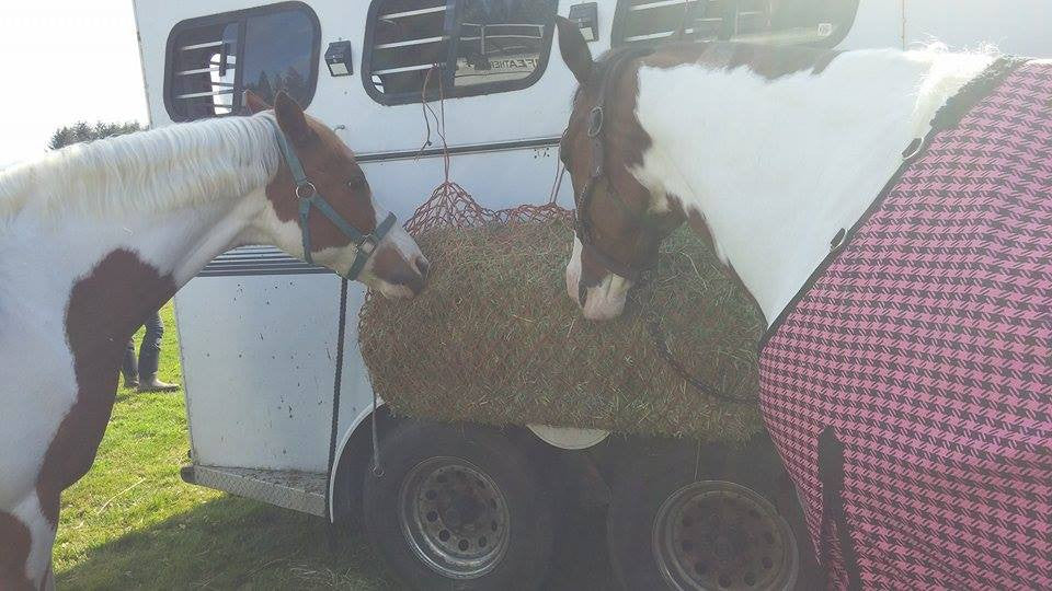 West Coast Bale Net Orange Slow Feeder