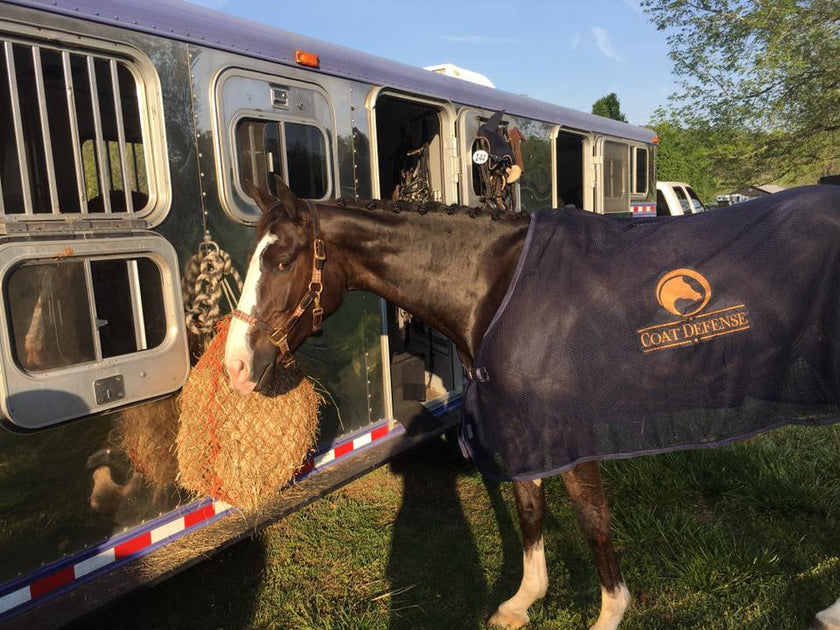 Pumpkin Net Orange Slow Feeder